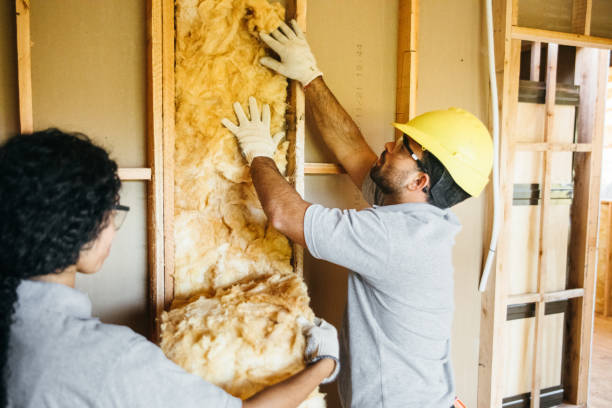  , DC Insulation Services Pros